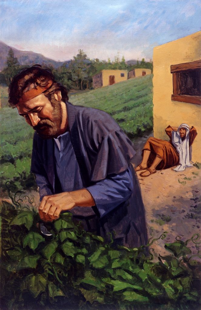 Two sons; one working in the vineyard, and the other sleeping.